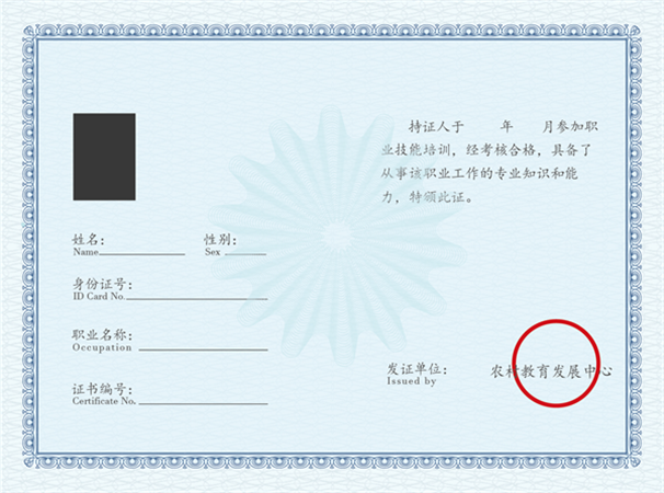 农村教育发展中心1.png